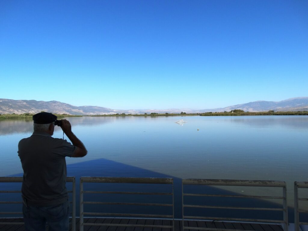 אדם עם משקפת משקיף על אגמון החולה. צילום: יובל דקס 