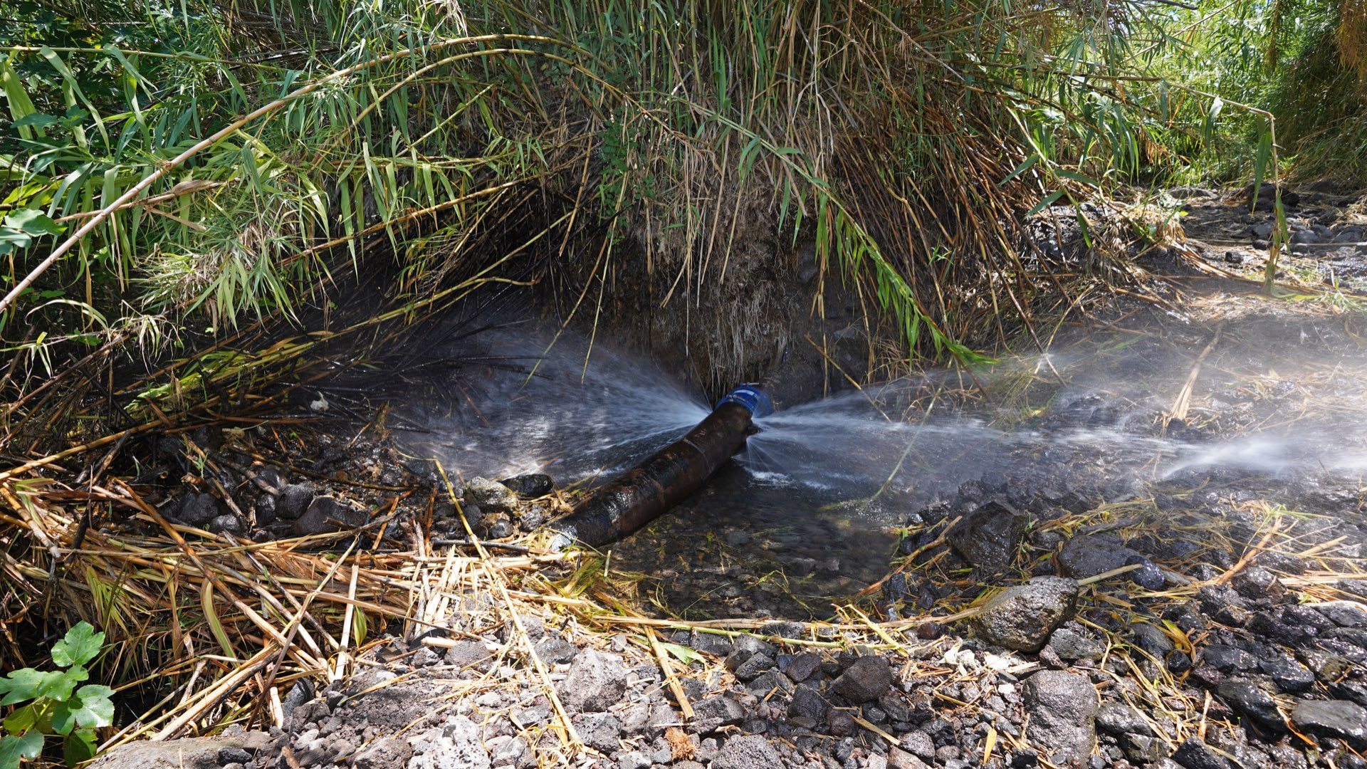 פיצוץ בצינור השקיה בעין דבשה. צילום: יובל דקס