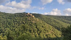 שטח פתוח וירוק מנחל כזיב מול מבצר מונפורט