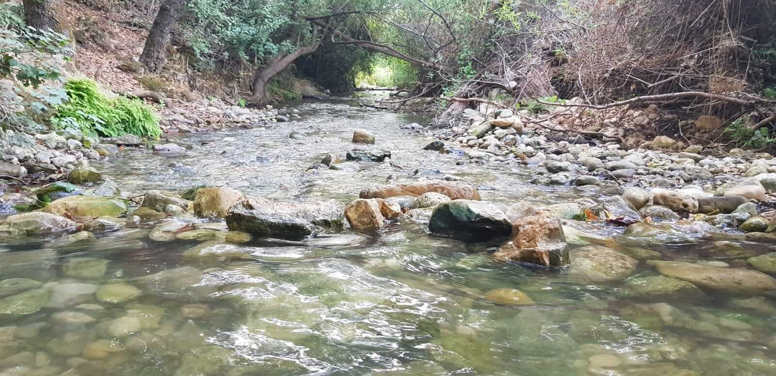 מים זורמים בין חלוקים בנחל כזיב