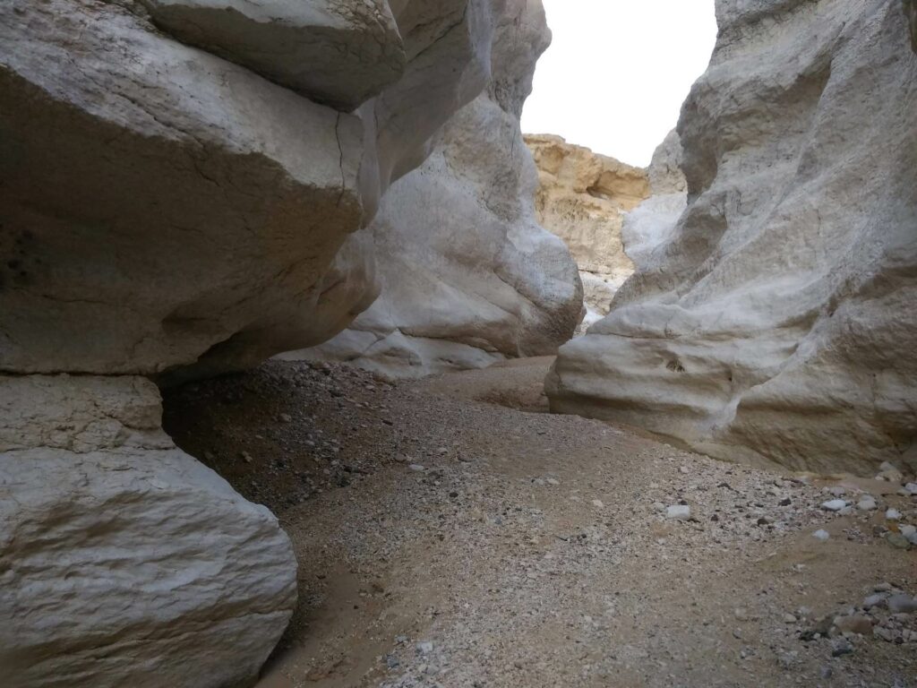 פרסת נקרות בנחל נקרות 