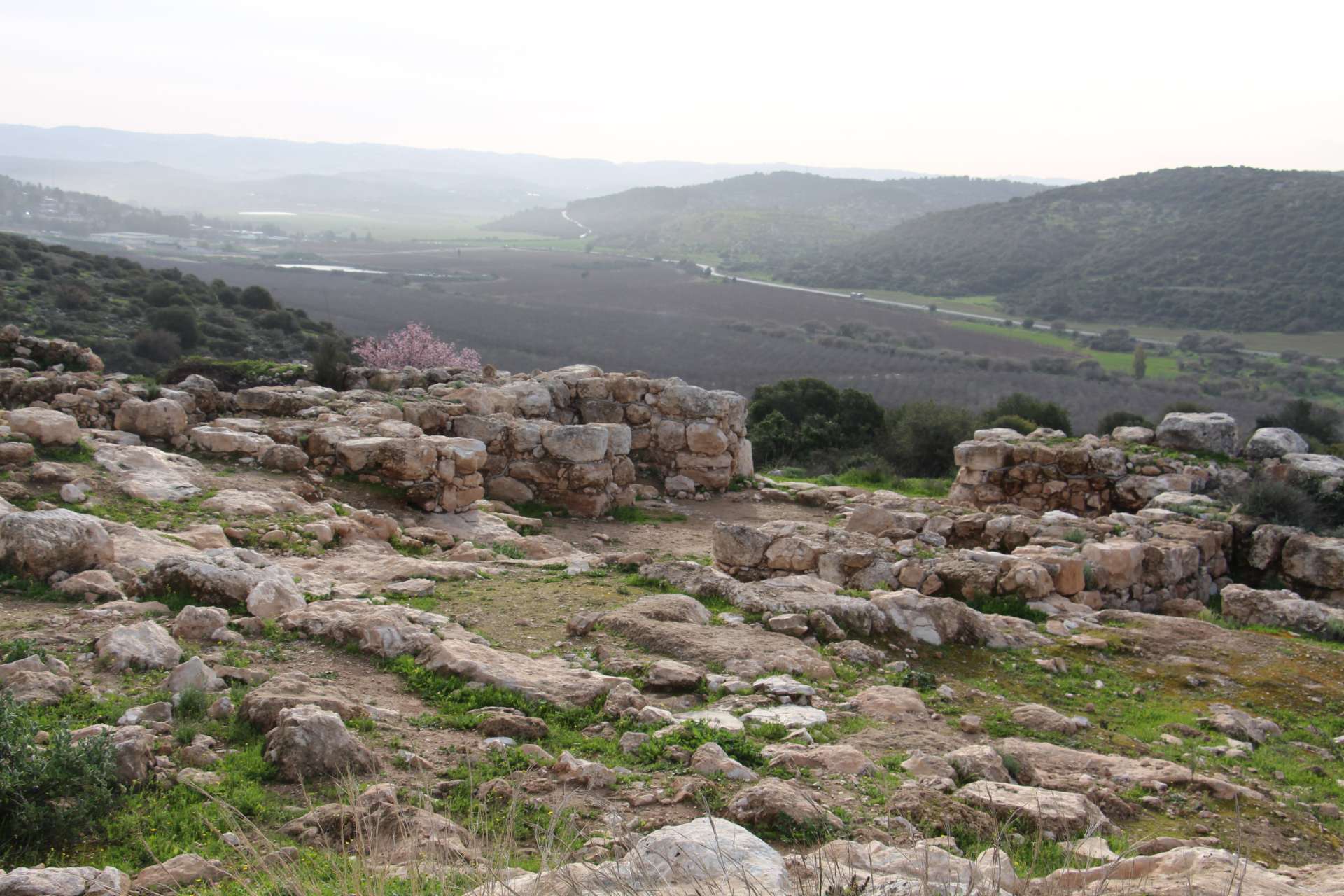 אזור ירוק ומלא אבנים ליד שדה. מקטע 24 בשביל ישראל