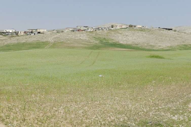 שדה ירוק ומאחוריו מבני מגורים. מקטע 30 בשביל ישראל