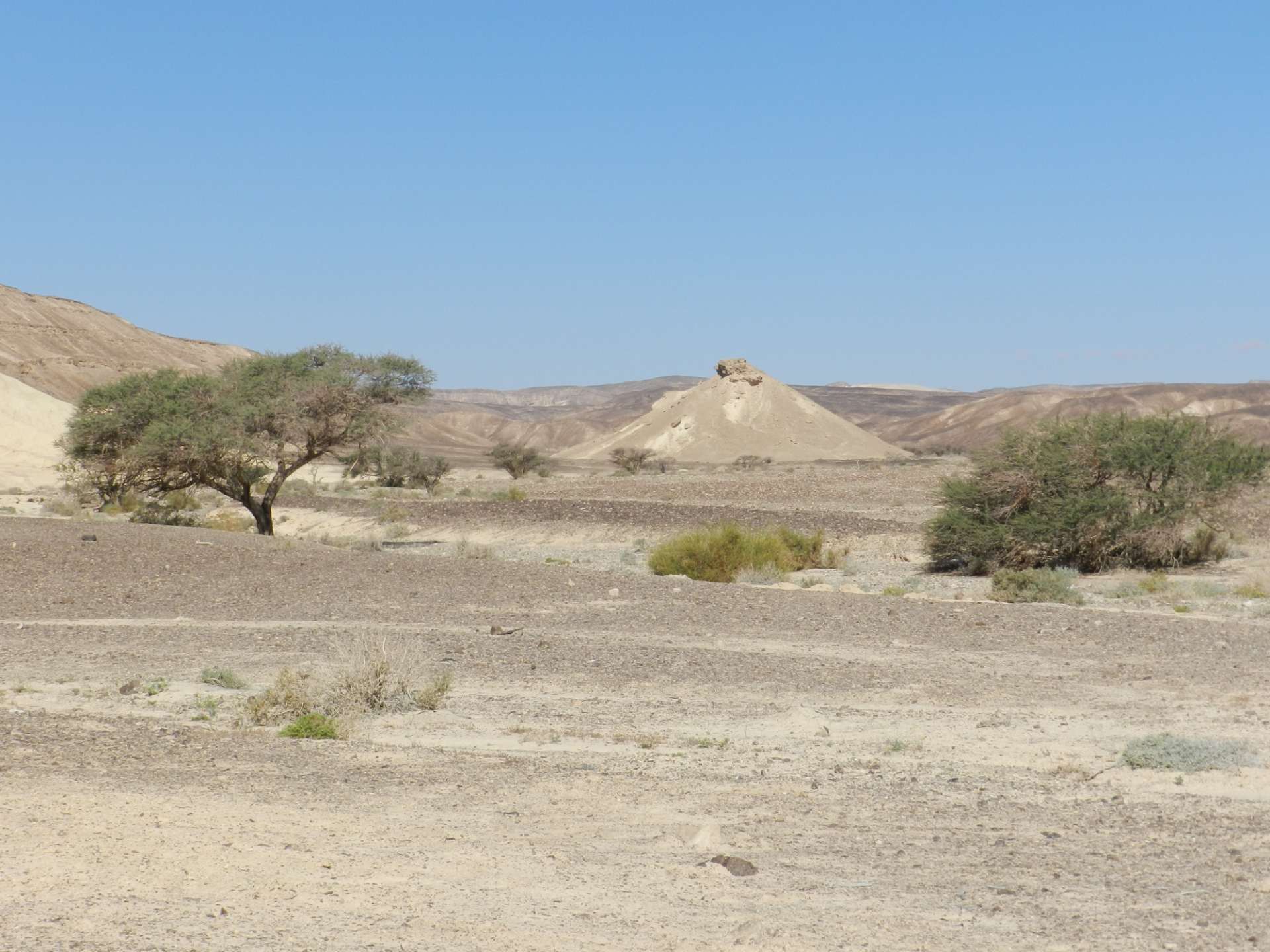 אזור חולי עם עצים ושיחים. מקטע 42 בשביל ישראל