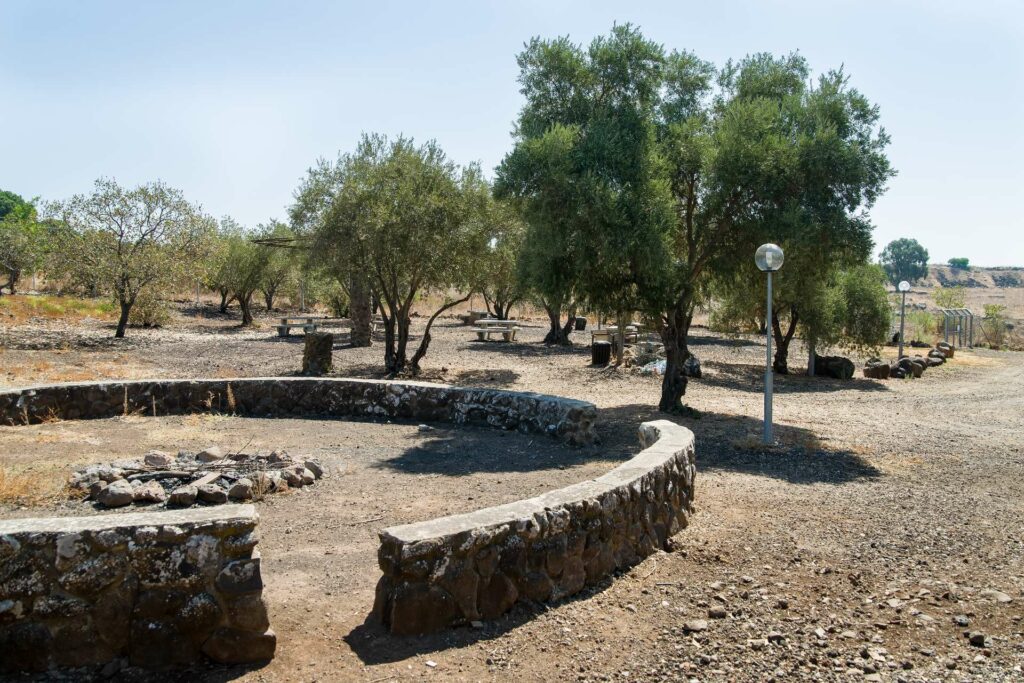 אזור למדורה בטבע. מסביב עצים וספסלי פיקניק 