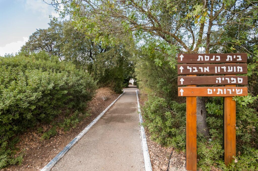 שלט הכוונה למתקני בית ספר שדה אלון תבור 