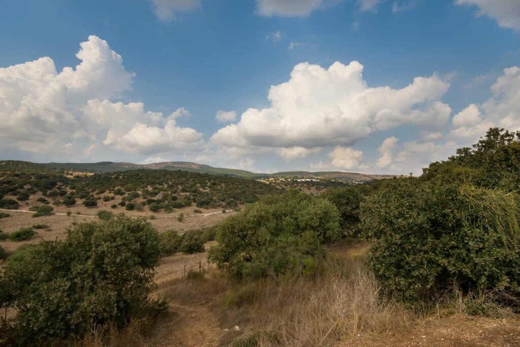 נוף להר תבור ומסביבו גבעות מלאות ירוק 