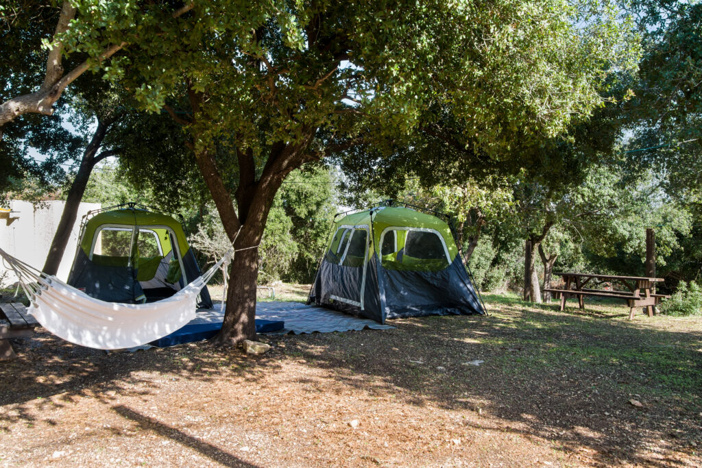 בית ספר שדה הר מירון — photo 5