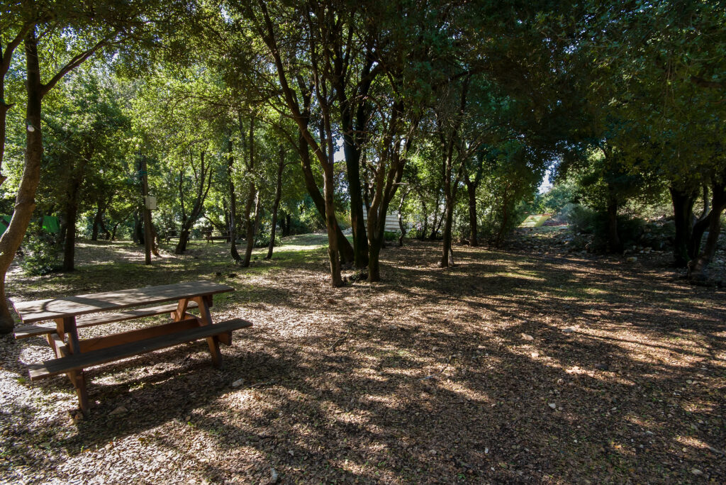 בית ספר שדה הר מירון — photo 3