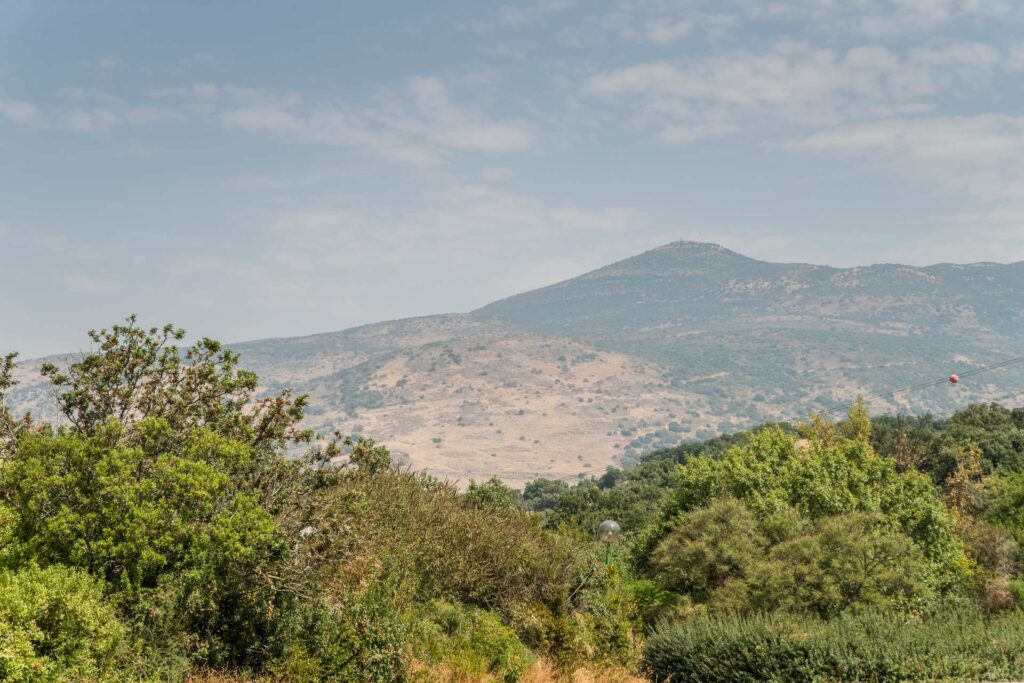 נוף להר החרמון 