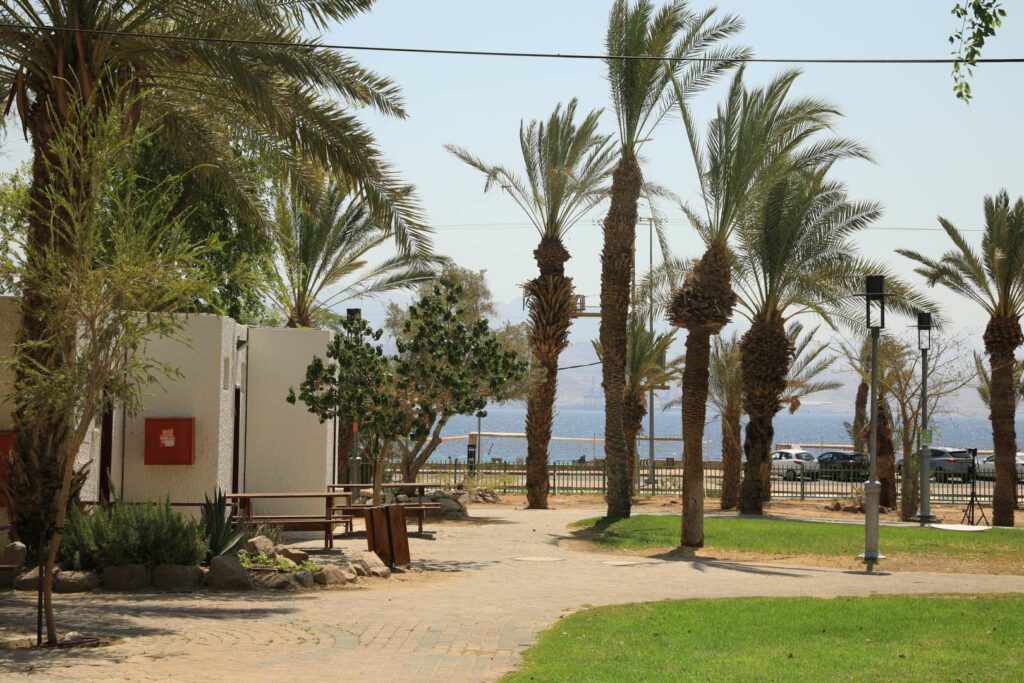 חצר בית ספר שדה אילת המלאה בעצים ומשקיפה לים 