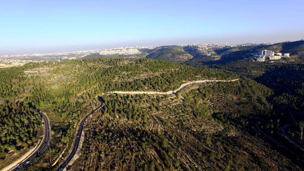 מבט מלמעלה על הר חרת. המון עצים וצמחייה וכמה כבישים לתוך העיר