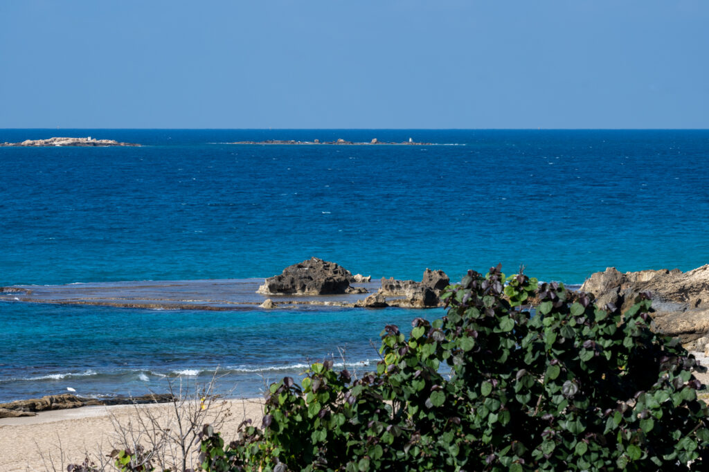 הנוף מבית ספר שדה אכזיב- חוף ים, עם סלעים וצמחייה ירוקה על החוף 