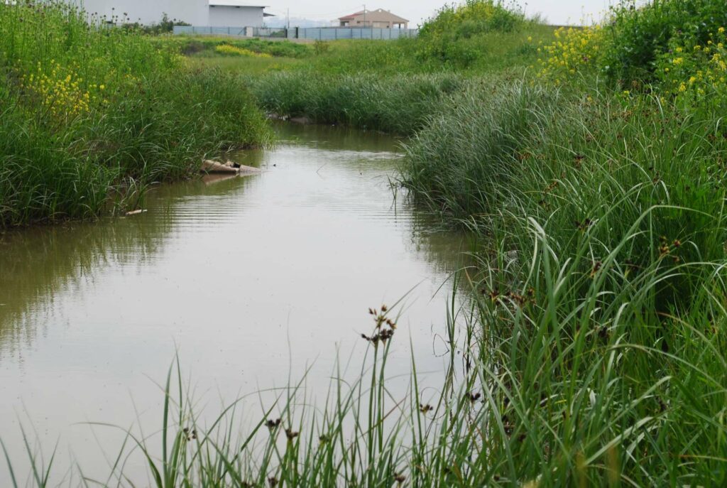 נחל אלכסנדר 