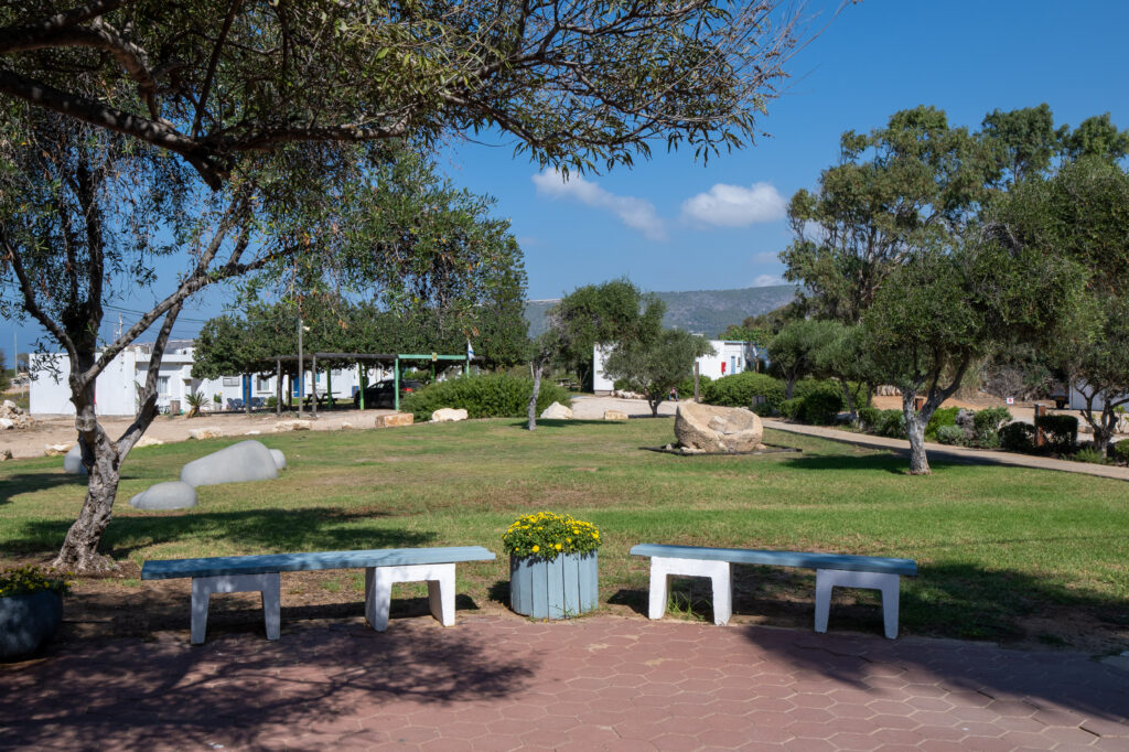 מדשאה במתחם בית ספר שדה אכזיב, ספסלי אבן 