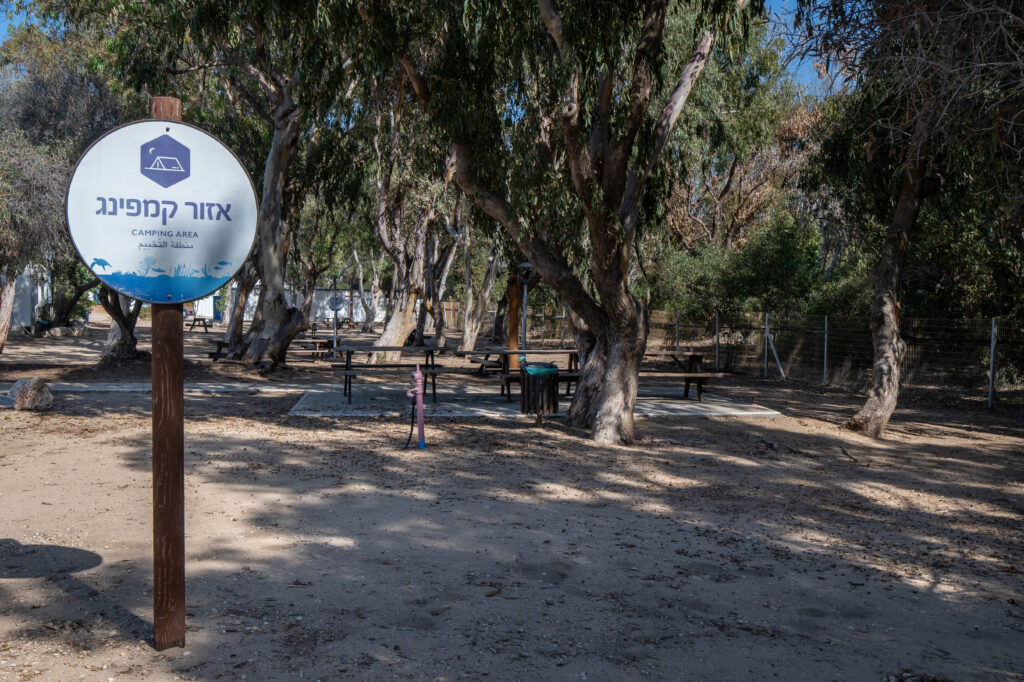 שלט שעליו כתוב אזור קמפינג, מאחוריו ספסלים וחורשת עצים בבית ספר שדה אכזיב 