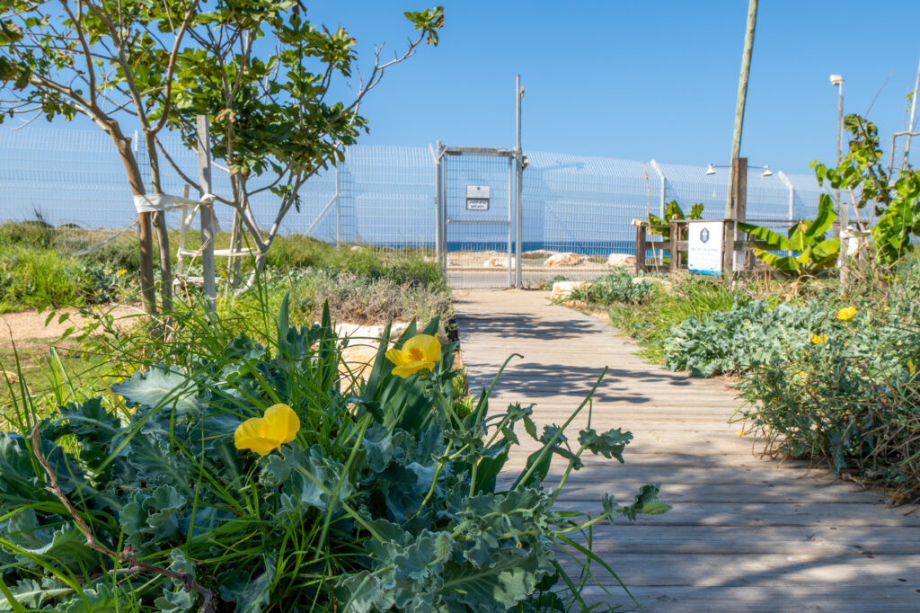שער יציאה לים בבית ספר שדה אכזיב, צחייה ירוקה וברקע ים 