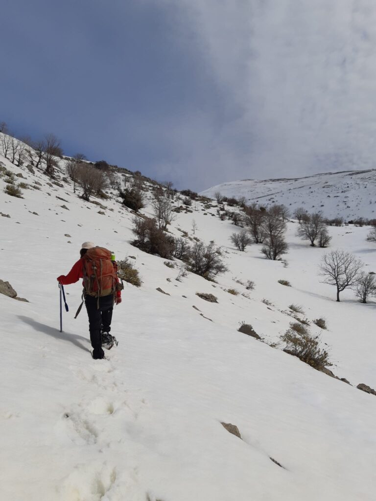 סדנת שלג בחרמון 