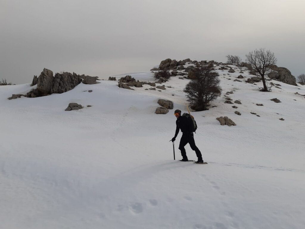 צועדים בשלג 