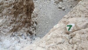 דרגיות במפלון בנחל סלוודורה