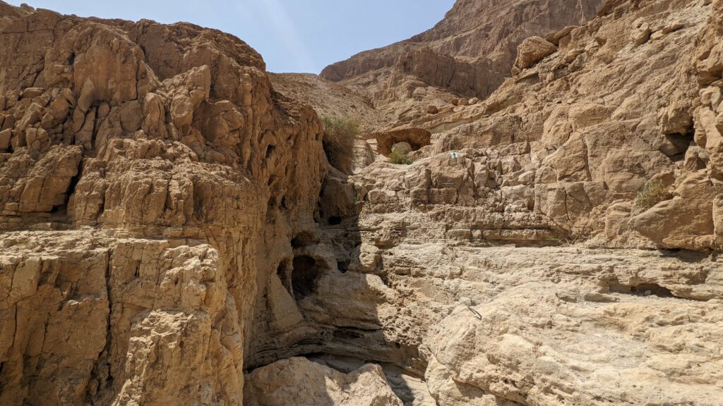 דרגיות במפלון בנחל סלוודורה 