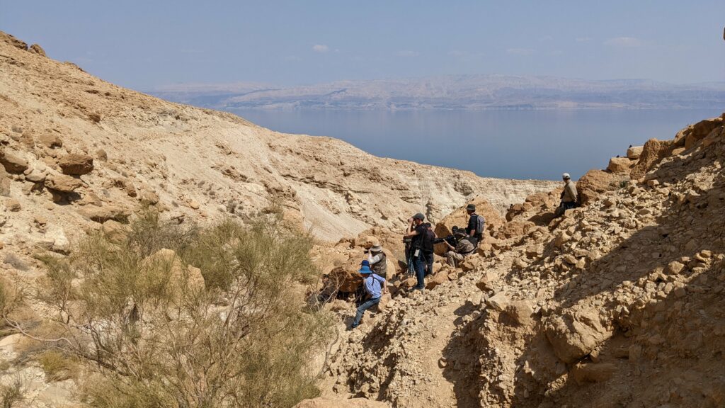 צפרים בנחל סלוודורה