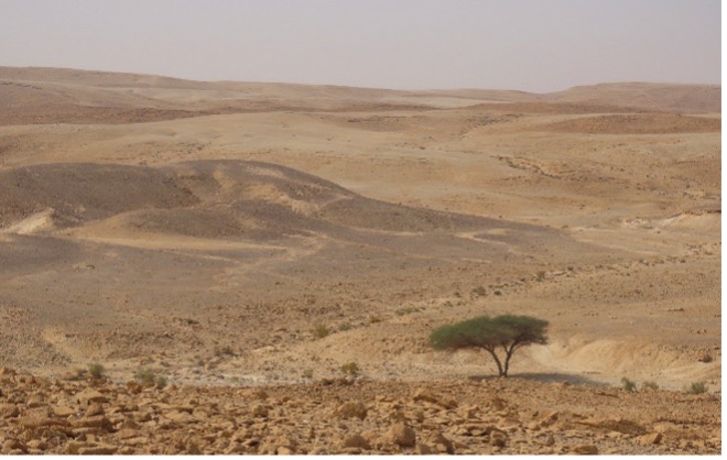 נוף נחל חלמיש ליד ים המלח