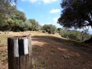 חצי עמוד ועליו סימון של שביל. מאחוריו אדמה מוקפת עצים