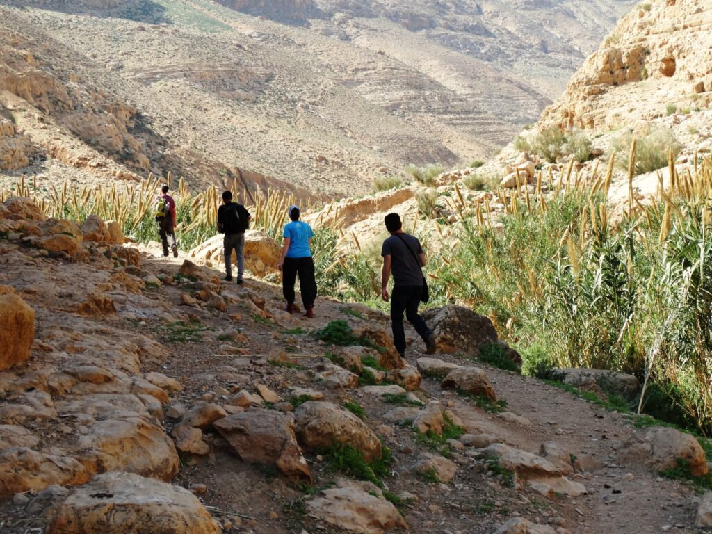 מטיילים בנחל פרת 