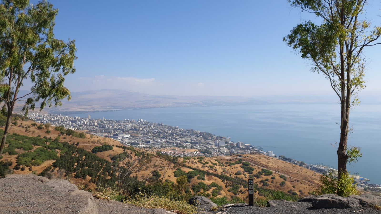 תצפית על הכנרת מיער שוויץ