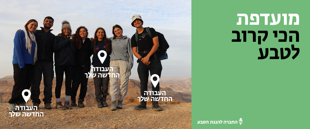 העבודה החדשה שלך