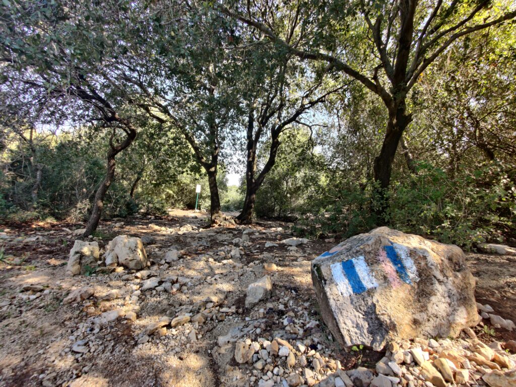 השביל המנדטורי נחל מעפילים 