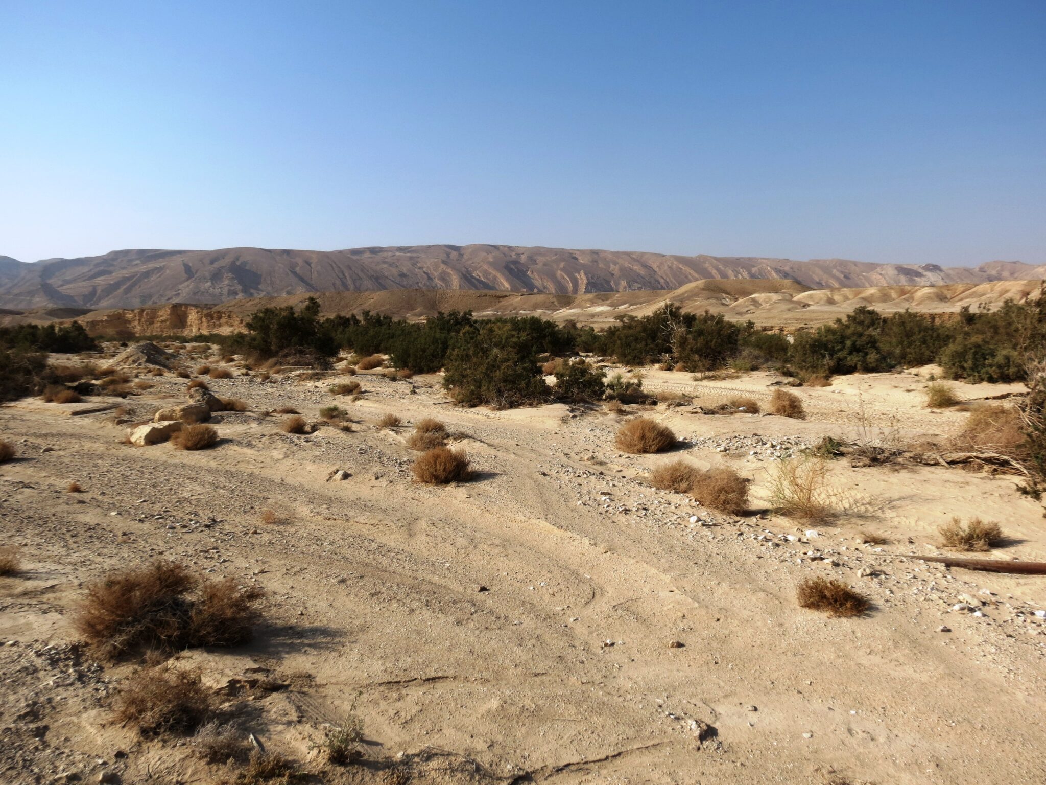 שמורת טבע מדבר יהודה