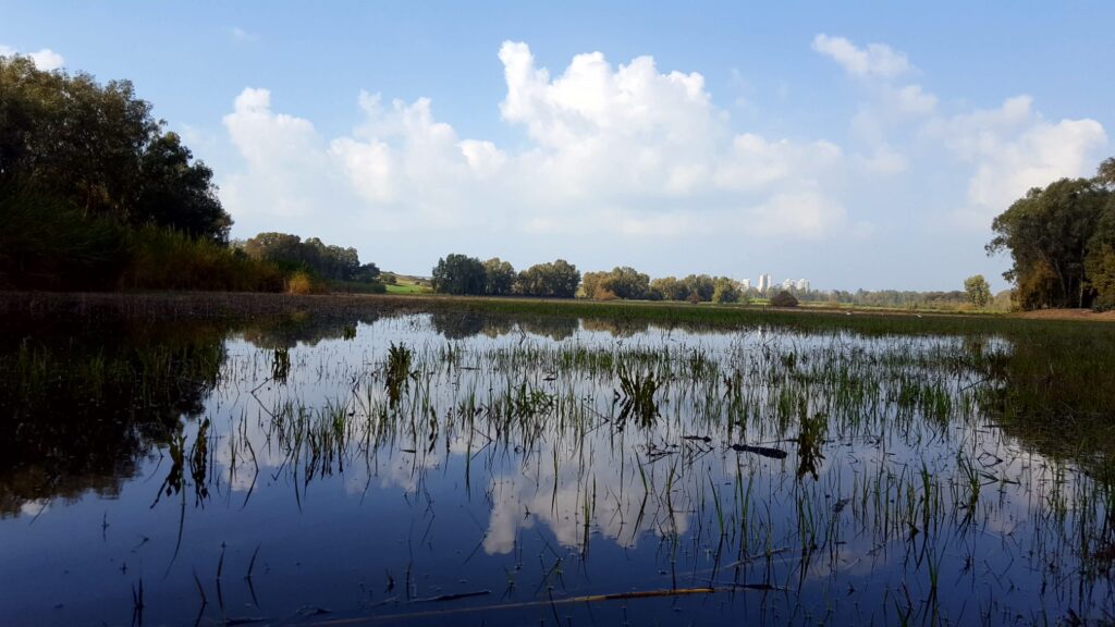 פארק השרון אגם 