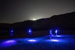 מטיילים עם פנסי אולטרא סגול מחפשים אחר חיות בלילה בנחל חווארים