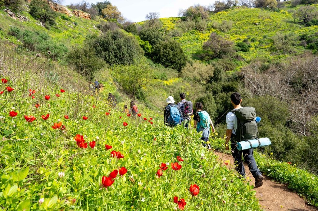 מטיילים בפריחה בגולן 