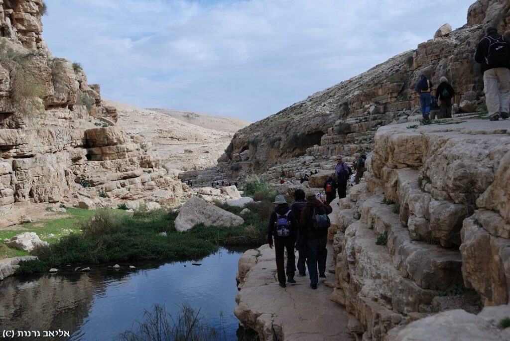 בריכה בוואדי קלט 