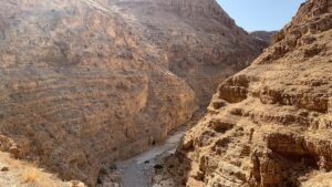 נחל משאש מורבעת