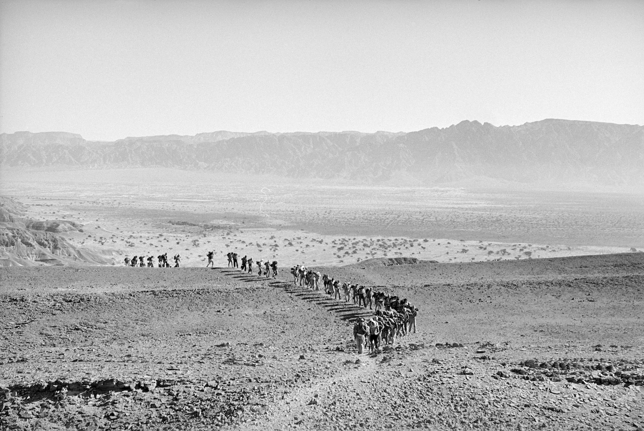 עלייה מהערבה אל מעלה צאלה 1955