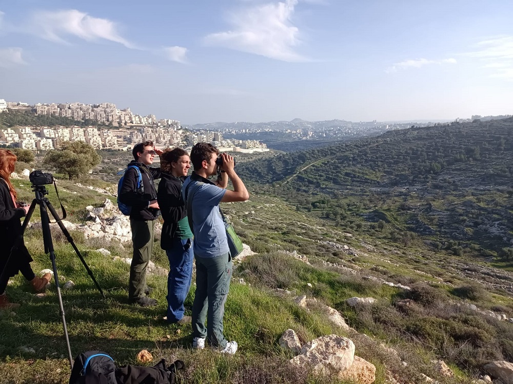 נערים מתצפתים בסיור טבע עירוני בשכונת הר חומה בירושלים