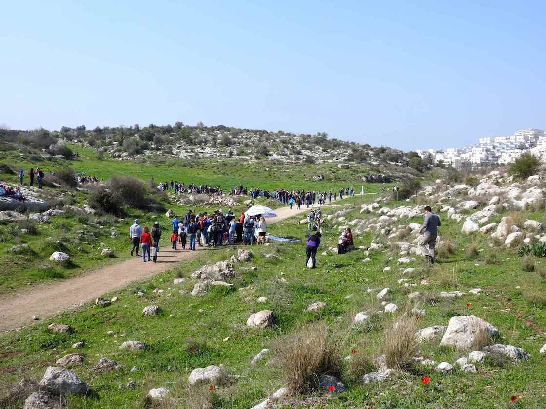 צילום מרחוק של מטיילים רבים בגבעות מודיעין