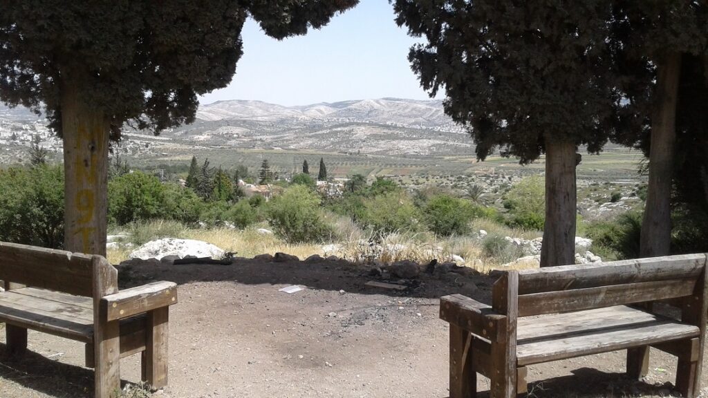 תצפית בגבעת הברושים 
