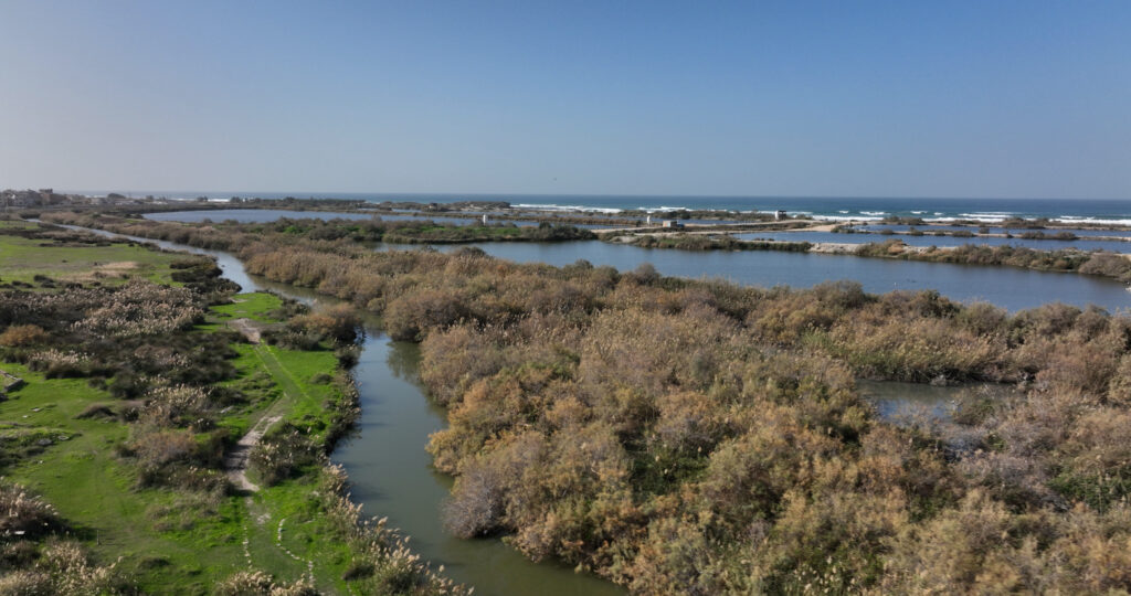 בריכות הדגים מעגן מיכאל 