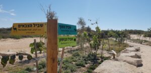מצודת אשדוד פארק אקולוגי