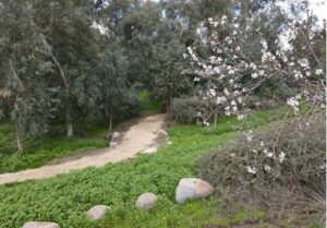 נסלול הליכה הנחל השבעה