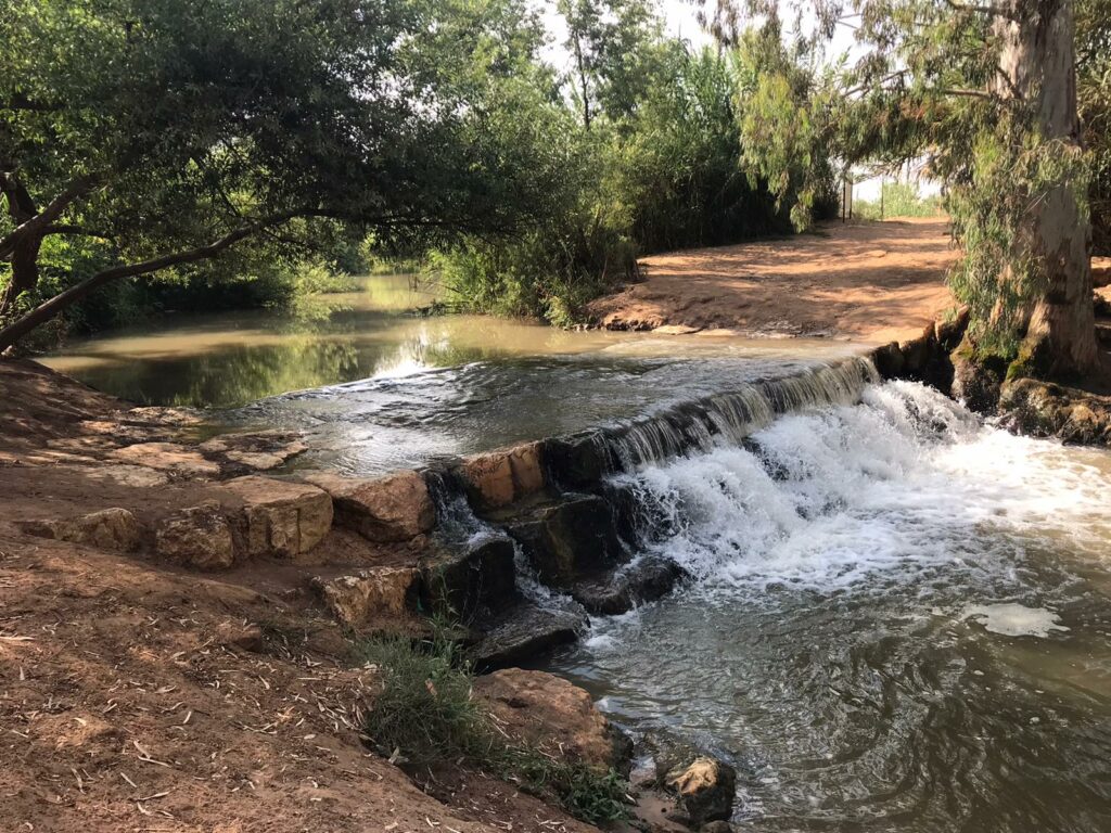 הירקון 