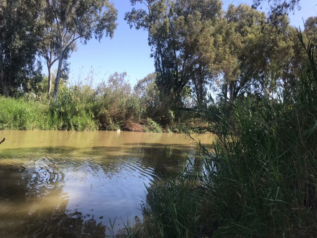 הירקון 
