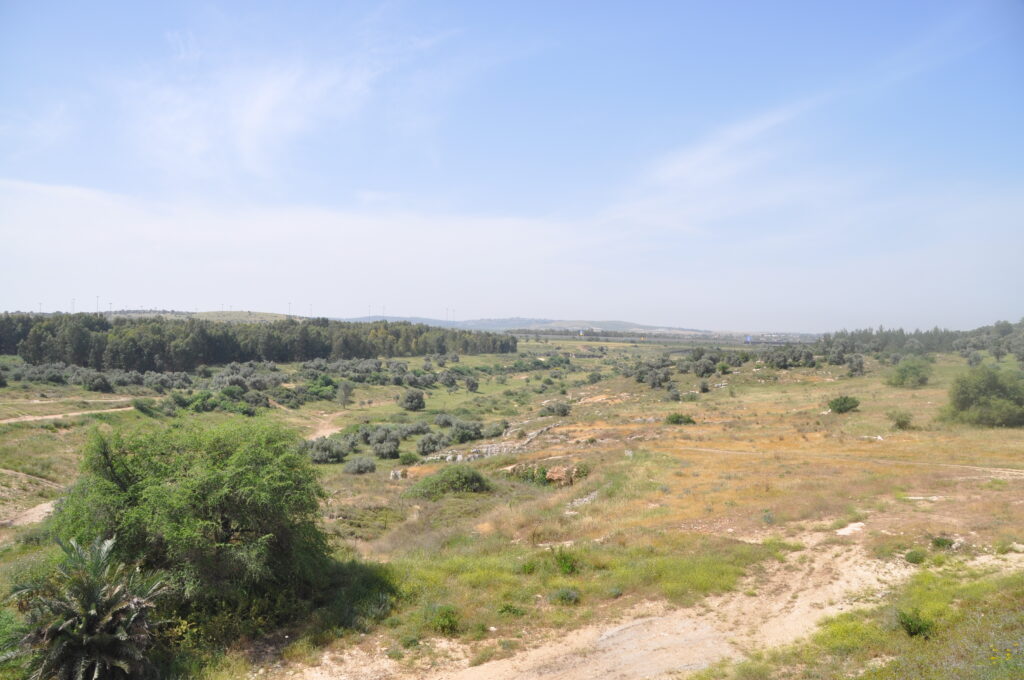 ואדי ענבה והעיר מודיעין 