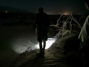 סיור לילי בואדי שחמון באילת