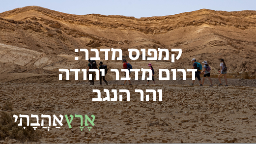 קמפוס מדבר
